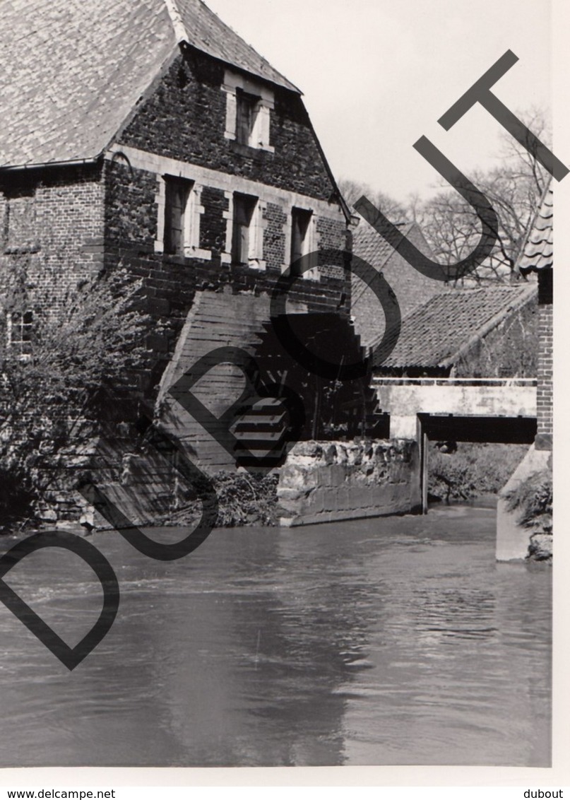 Lummen Molen/Moulin Foto E124 - Lummen