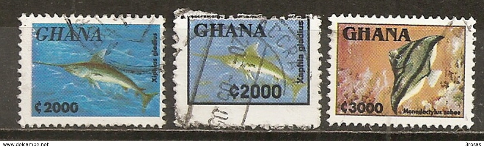 Ghana 1995 Poissons Fish Obl - Ghana (1957-...)