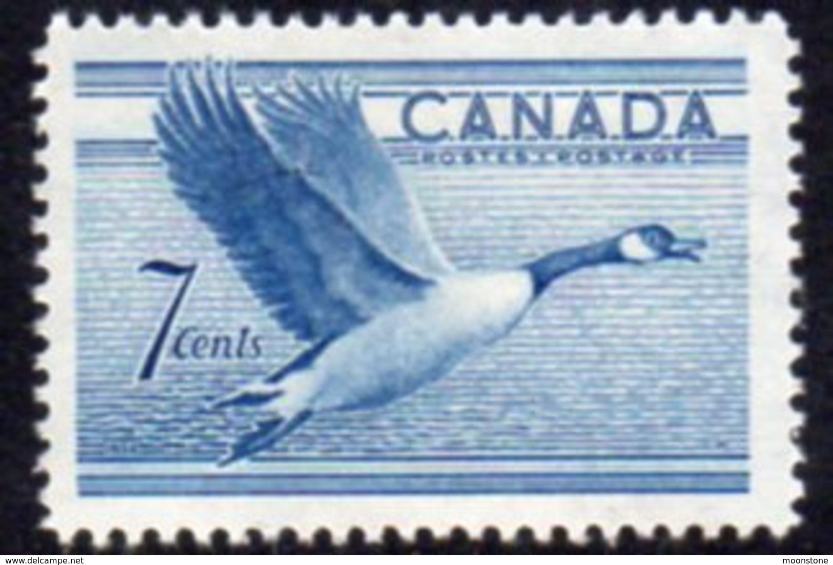 Canada QEII 1952 7c Canada Goose Bird Definitive, MNH, SG 443 - Ongebruikt