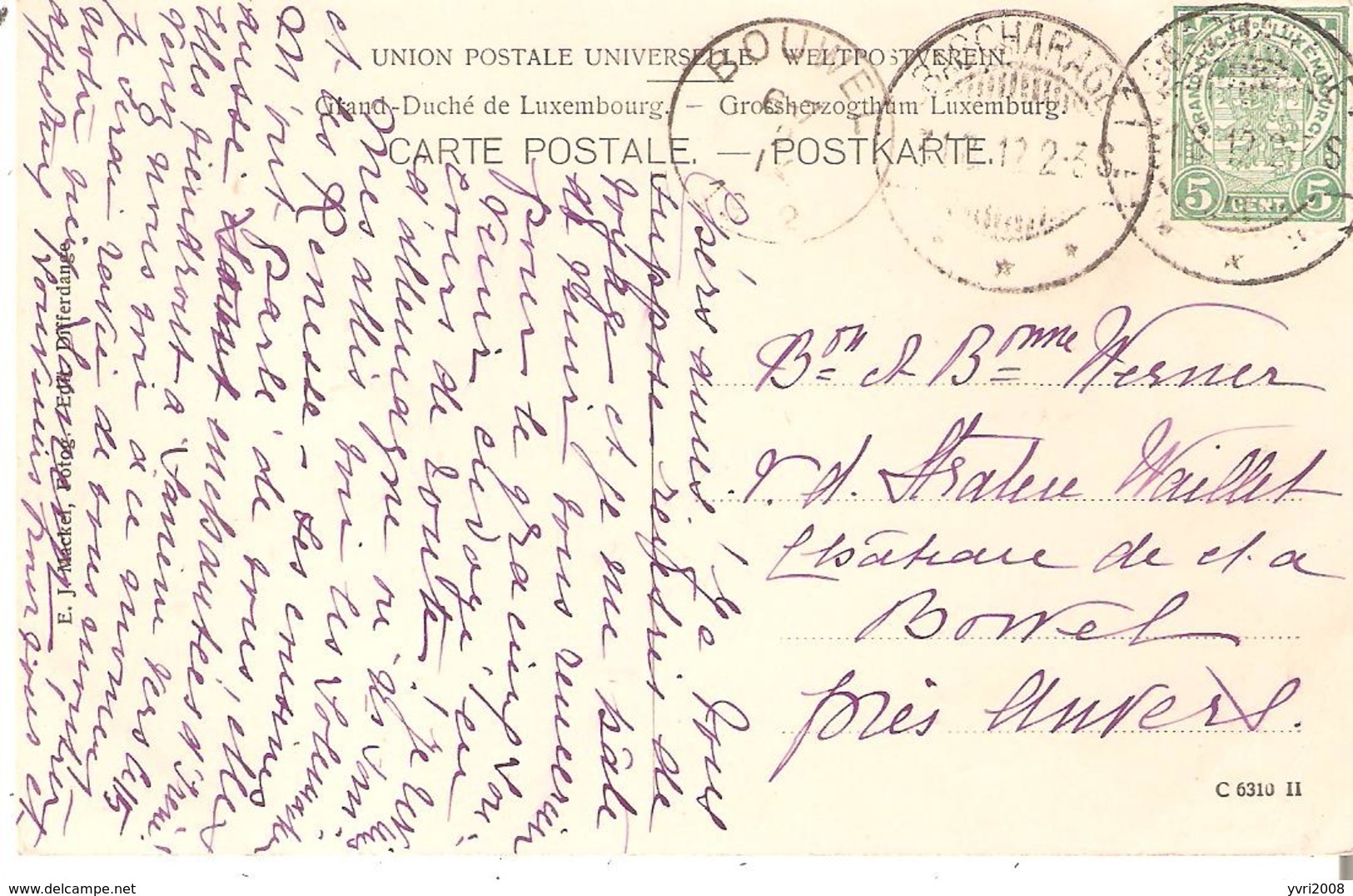 CP. CHATEAU De SANEM TP.5 Cent Obl. BASCHARAGE Du 3/12/1912 V/Belgique Ed.E.J.Mackl Differdange - Sonstige & Ohne Zuordnung