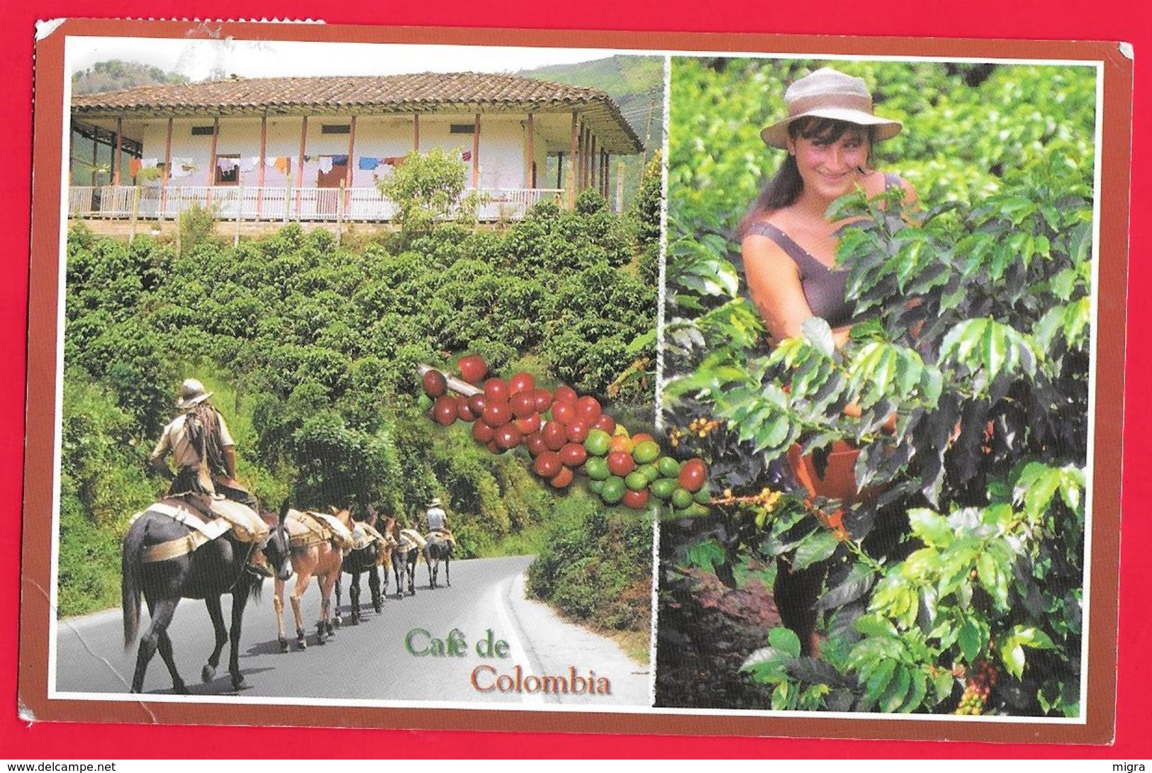 COLOMBIA - CAFE' DE COLOMBIA - SOLEDAD ACOSTA DE SAMPER - Colombia