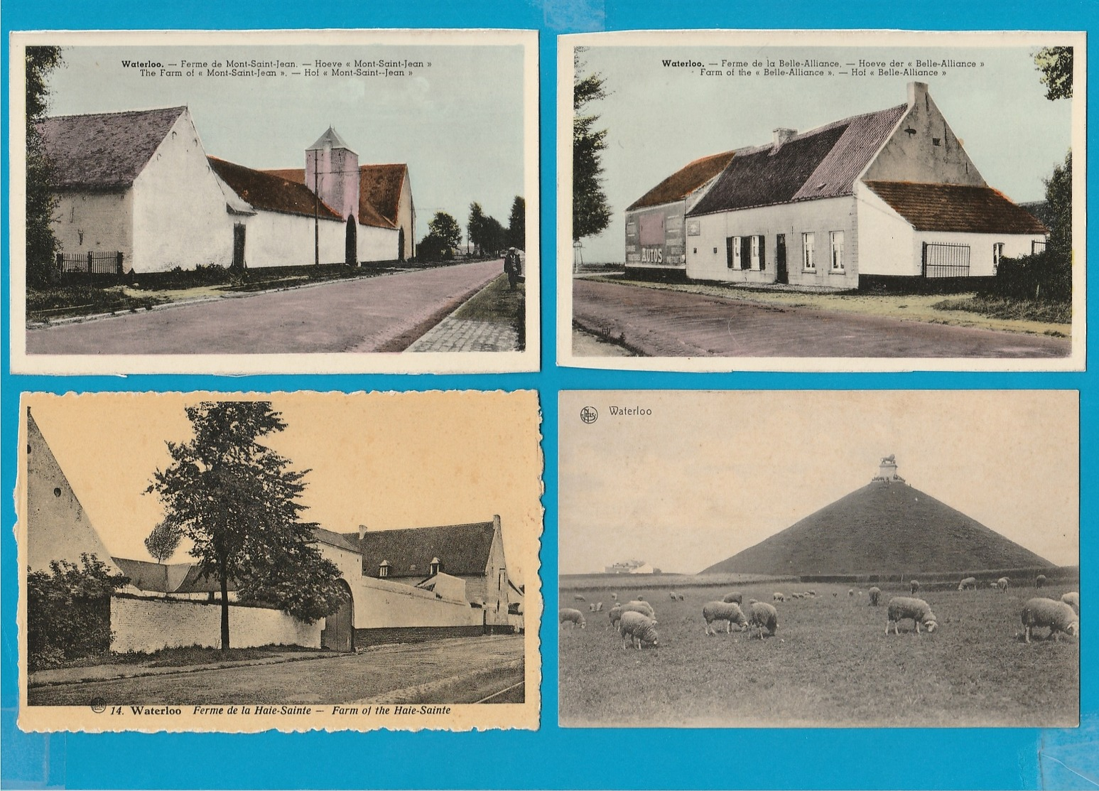 BELGIË Waterloo, Lot van 62 Postkaarten, Cartes Postales