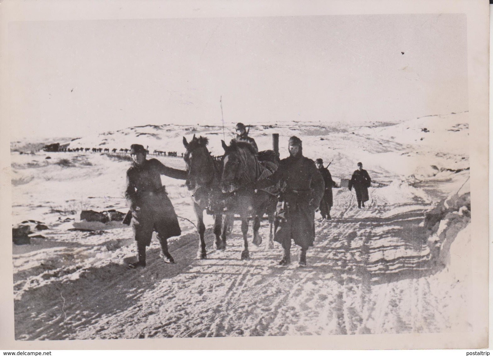 HOHEN NORDEN LIZAFRONT  FOTO DE PRESSE WW2 WWII WORLD WAR 2 WELTKRIEG Aleman Deutchland - Guerra, Militares