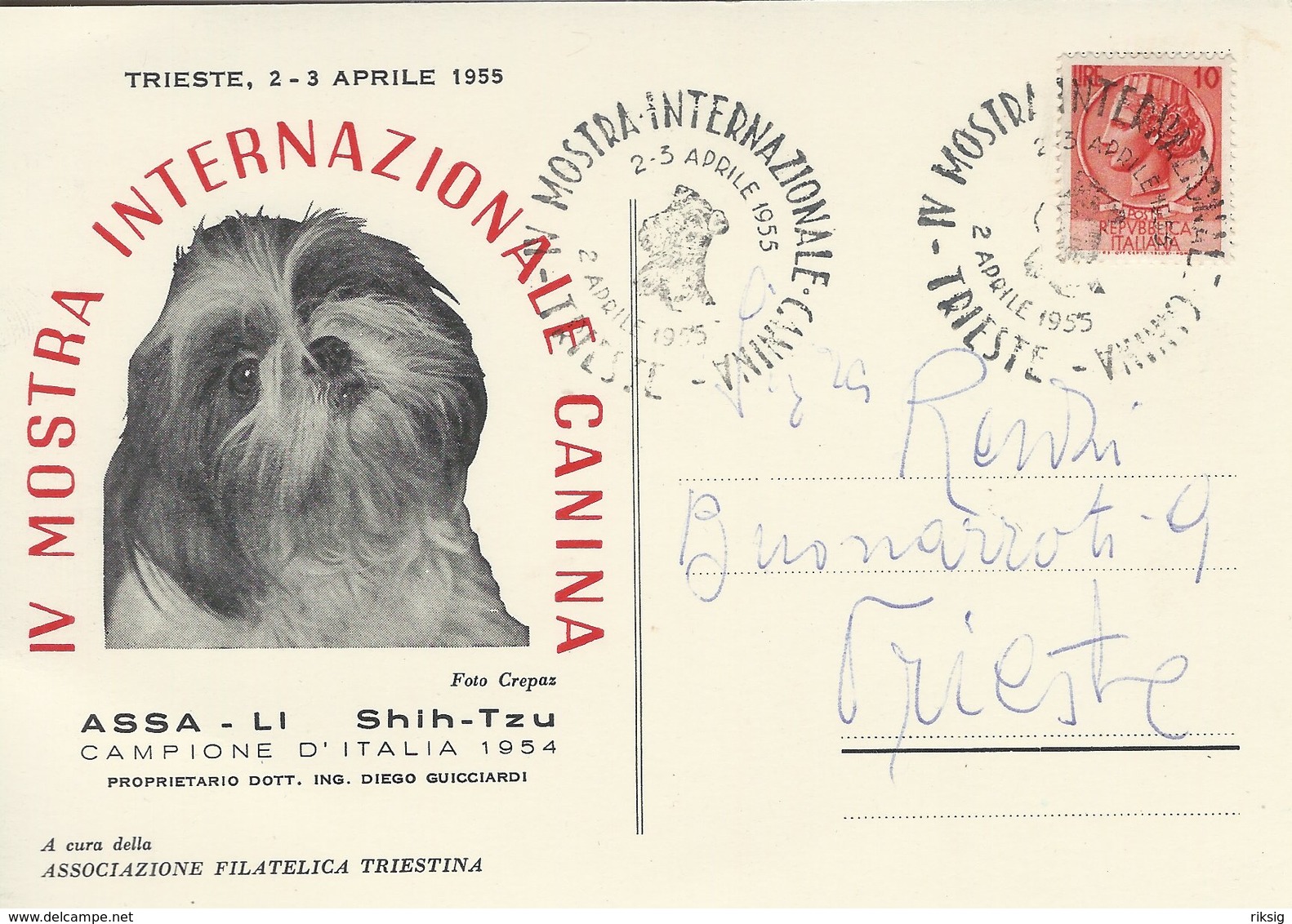 Assa -Li. Shih - Yzu.IV Mostra Internazionale Canina. Dog Exhibition.  1954. Italy -  # 05537 - Dogs