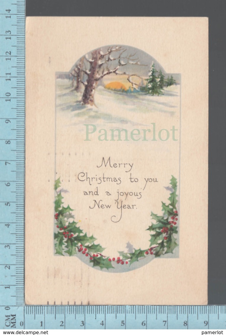 CPA - Merry  Christmas By Bibson Art - Cover Springfield Mass 1921. With USA Stamp - Autres & Non Classés