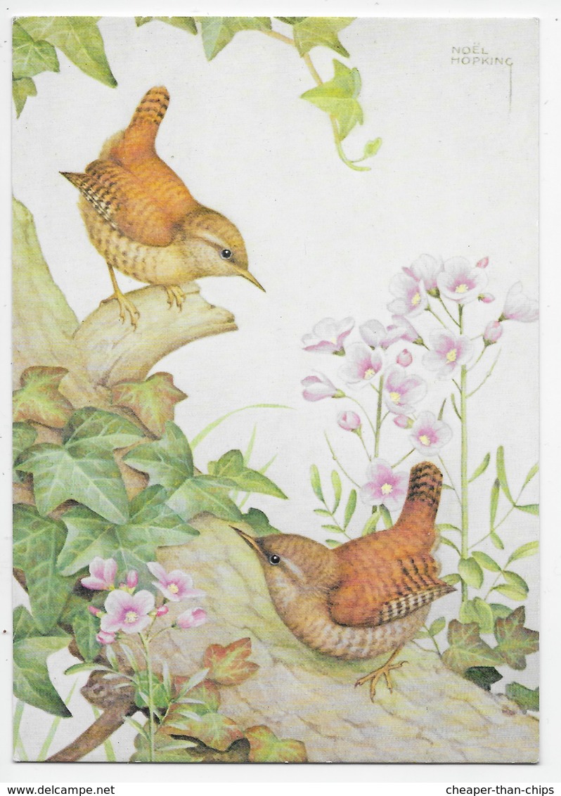 Modern Card - Wrens And Lady's-Smock - Artist Noel Hopking - Vögel