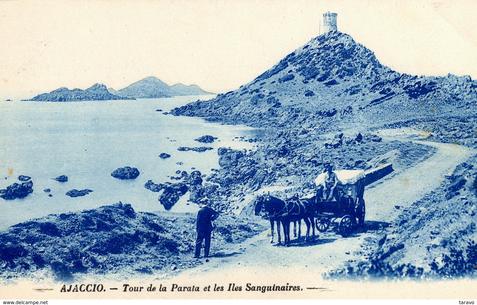 CORSE -  AJACCIO - Attelage Sur La Route Des Iles Sanguinaires - Ajaccio