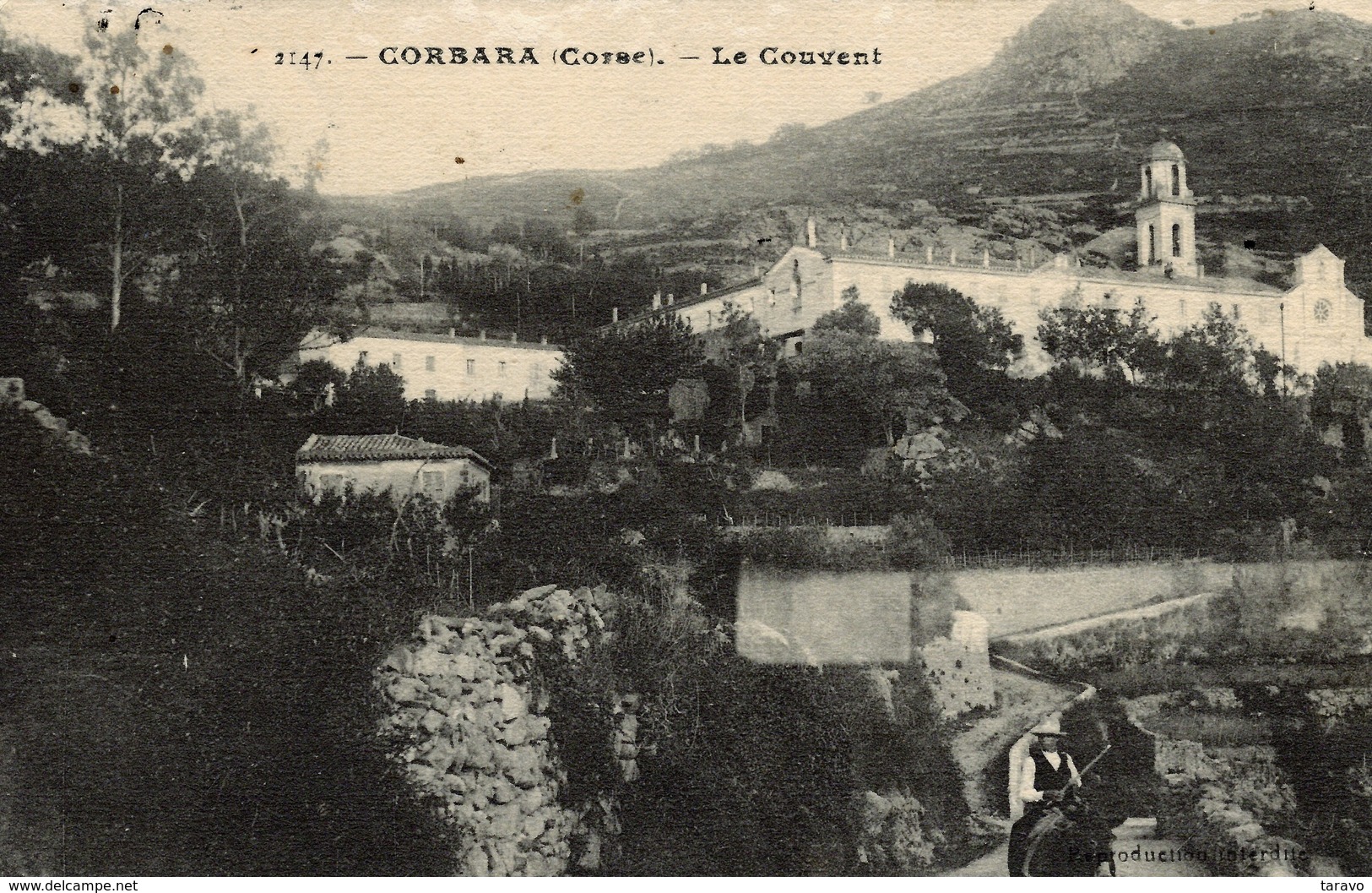 CORSE -  CORBARA - Cavalier Sur La Route Du Couvent - 1911 - Autres & Non Classés