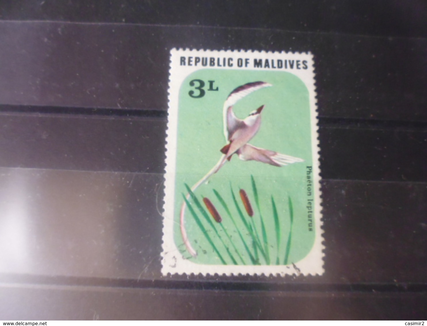 MALDIVES YVERT N°660 - Maldives (1965-...)