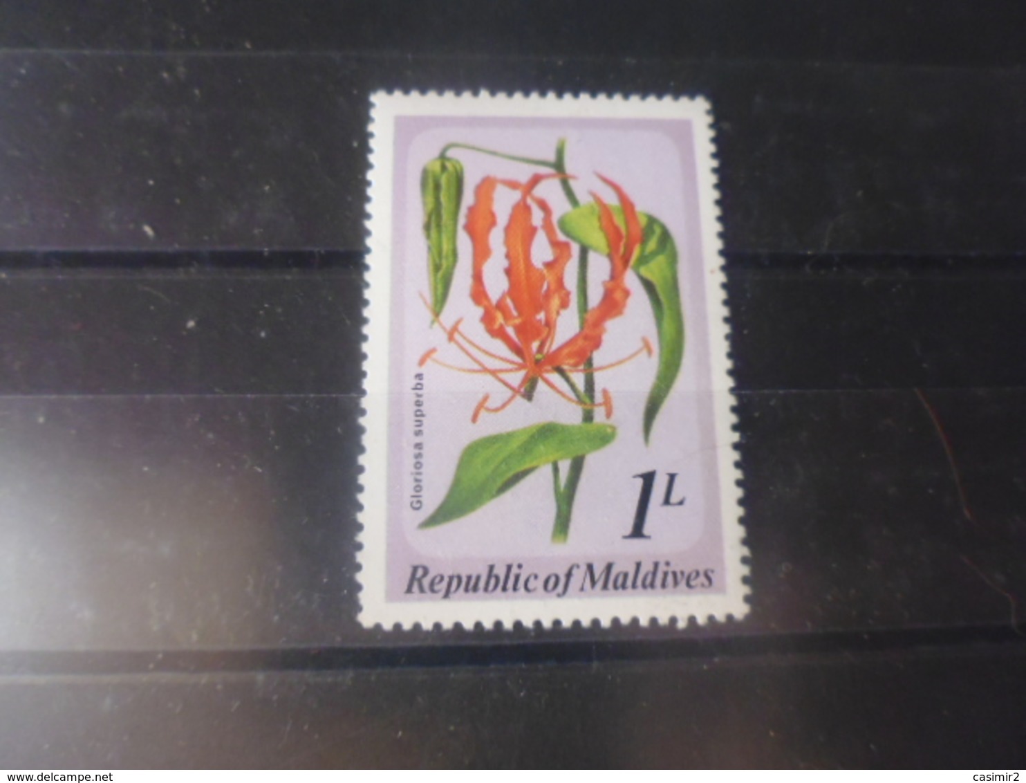 MALDIVES YVERT N°776** - Maldives (1965-...)