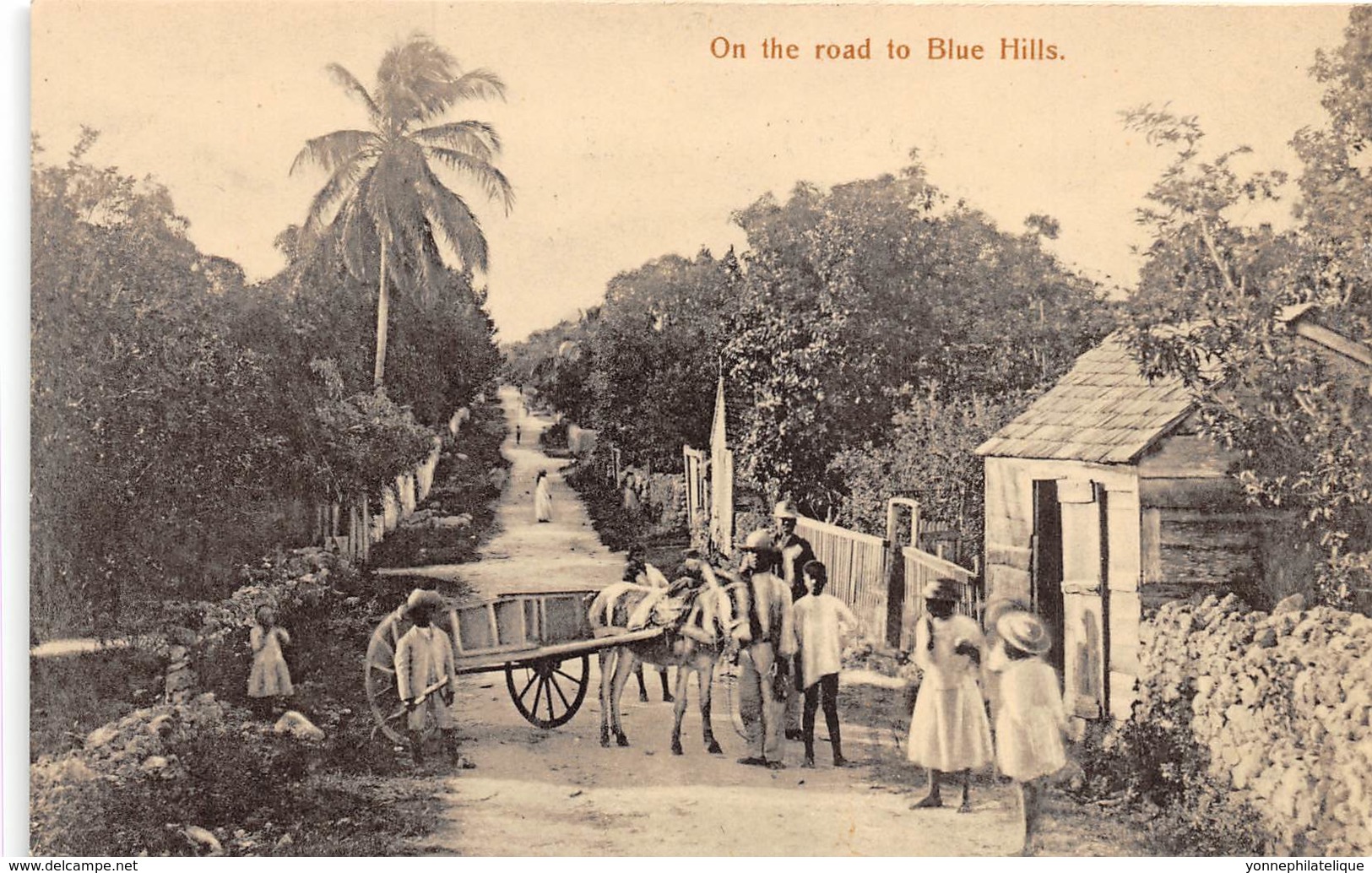 Bahamas / 07 - On The Road To Blue Hills - Bahamas