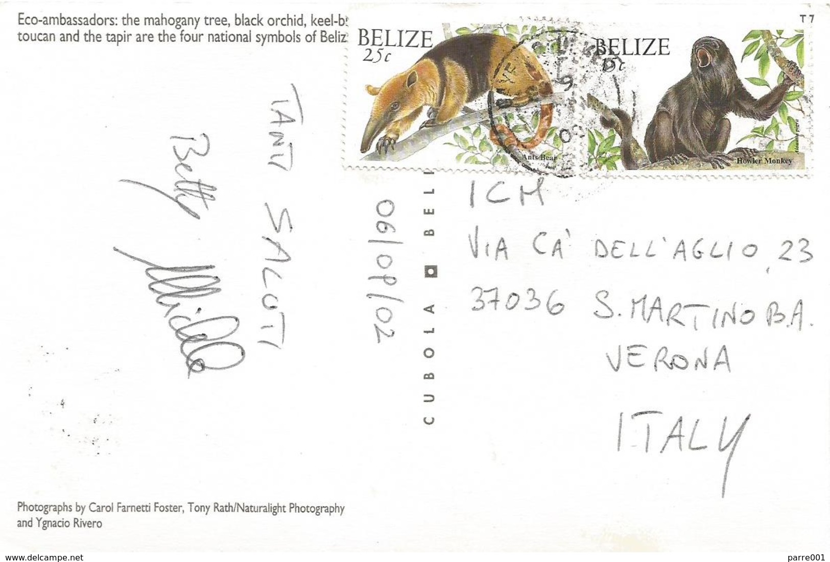 Belize 2002 Caye Caulker Howler Monkey Anteater Viewcard - Belize (1973-...)
