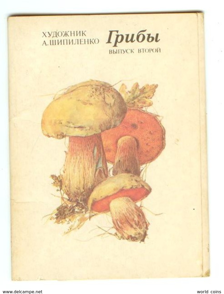 Mushrooms. Set Of The 16 Postcards In The Folder. - Champignons