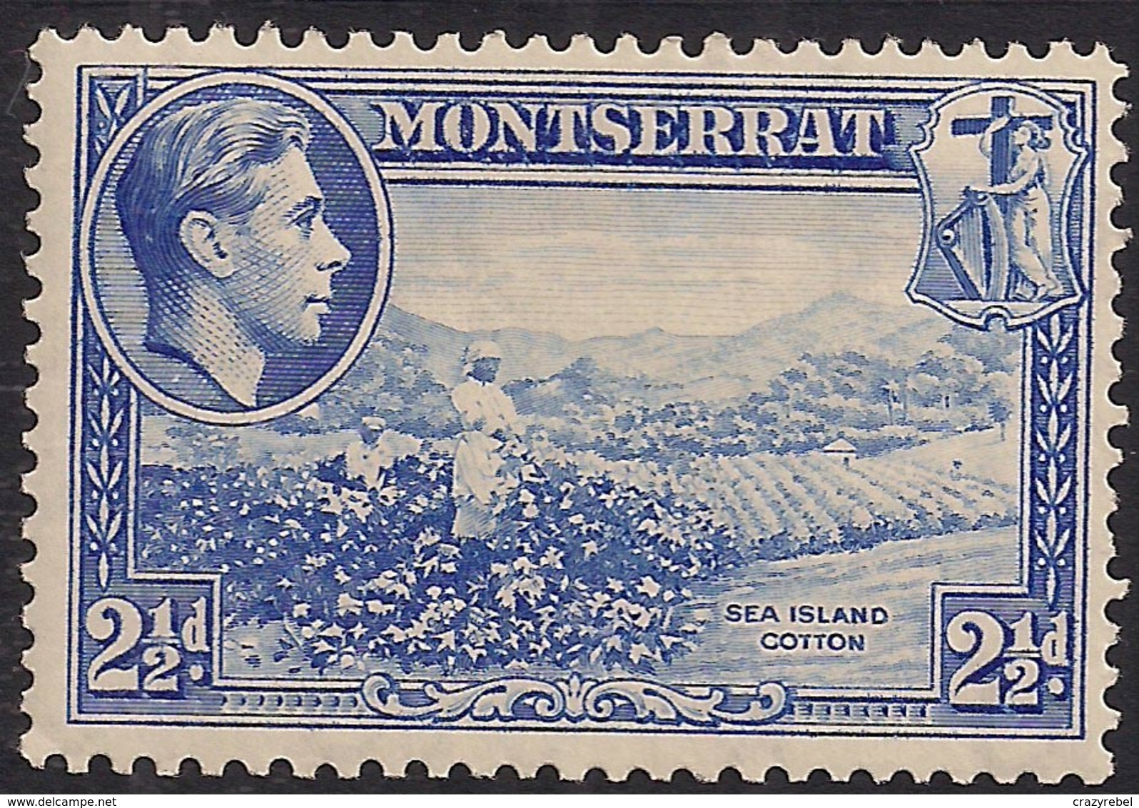 Montserrat 1938 - 42 KGV1 2 1/2d Ultramarine MM SG 105 ( K1063 ) - Montserrat
