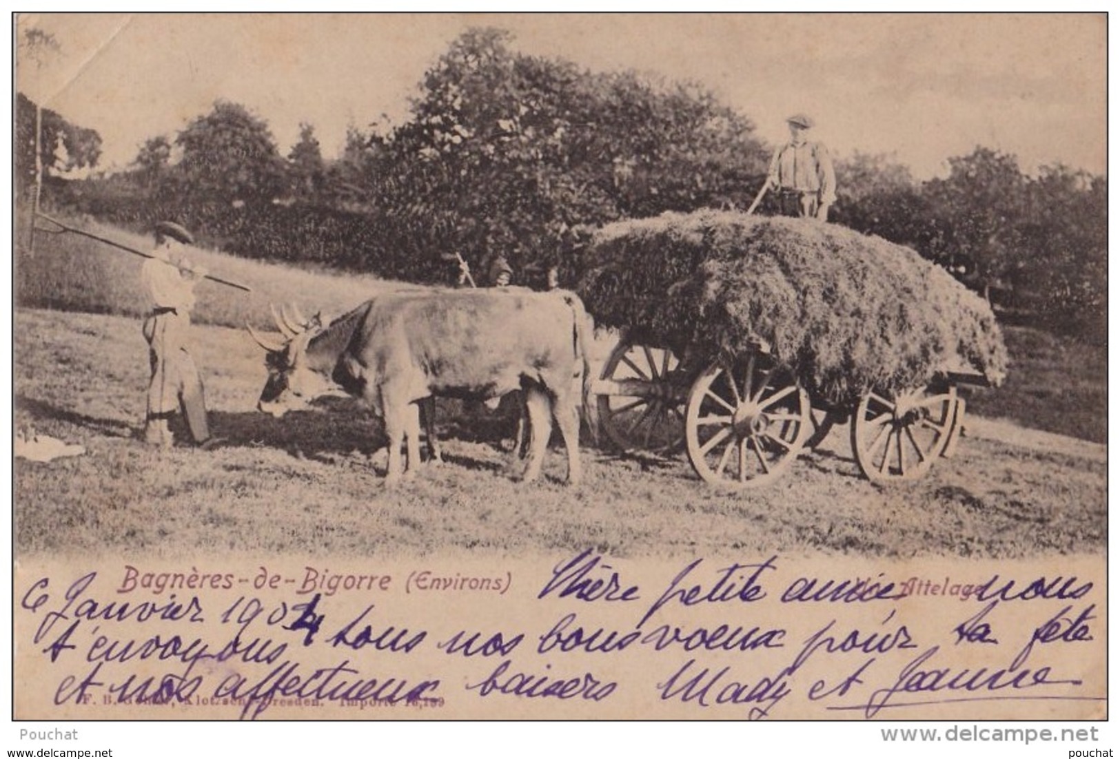 65) BAGNERES DE BIGORRE - HAUTES PYRENEES - UN ATTELAGE - BOEUF - FENAISON - AGRICULTURE -2 SCANS) - Bagneres De Bigorre