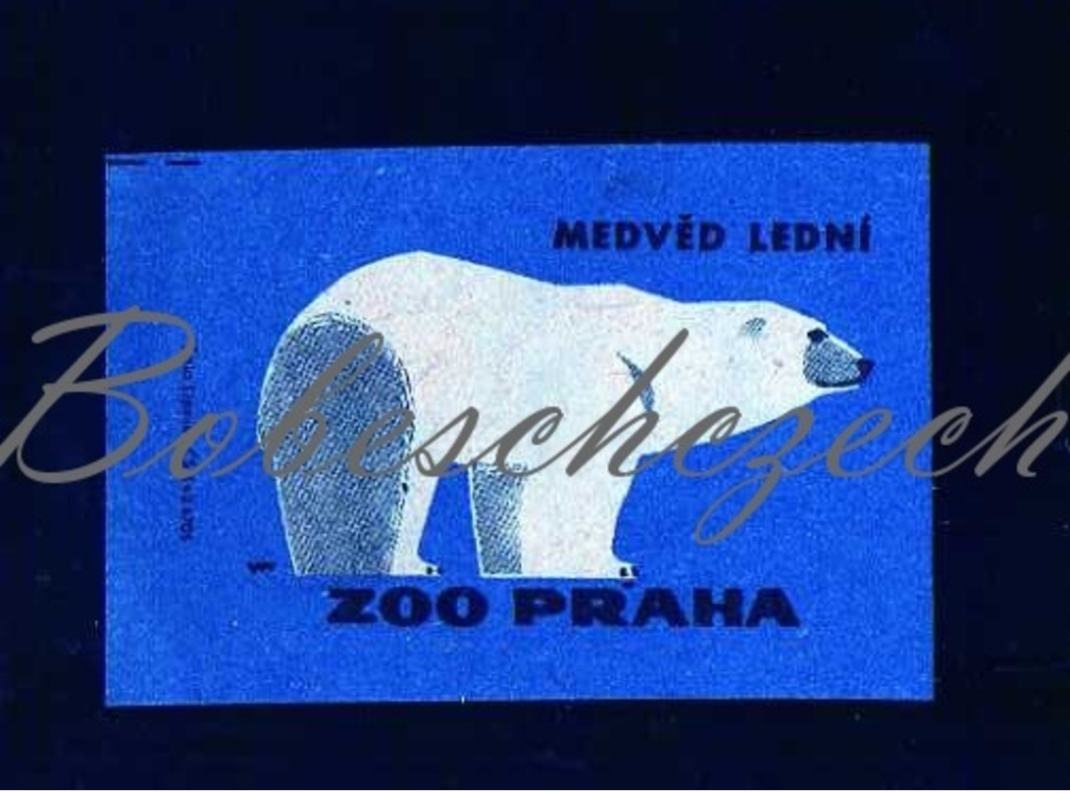 84-148 CZECHOSLOVAKIA 1963 ZOO Praha Ursus Maritimus Polar Bear Oso Polar Oso Blanco Ours Blanc - Cajas De Cerillas - Etiquetas