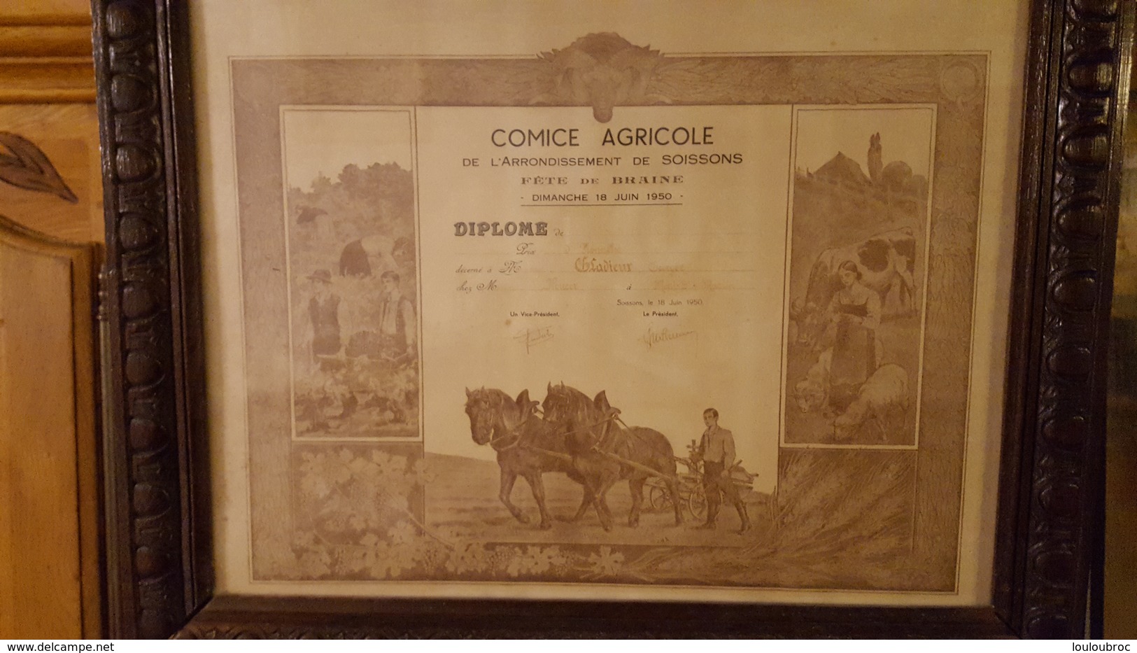 DIPLOME COMICE AGRICOLE DE L'ARRONDISSEMENT DE SOISSONS FETE DE BRAINE 18 JUIN 1950  ENCADRE 60 X 50 CM EXCELLENT ETAT - Diplômes & Bulletins Scolaires