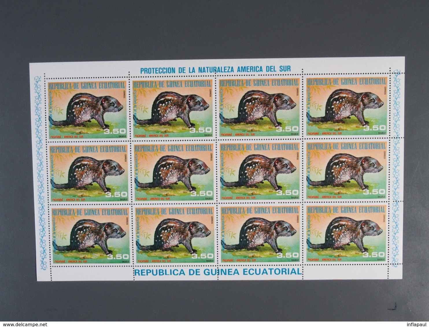 Äquatorialguinea - 28 Sätze in Kleinbögen 215 versch. Klb  ** MNH (2588)