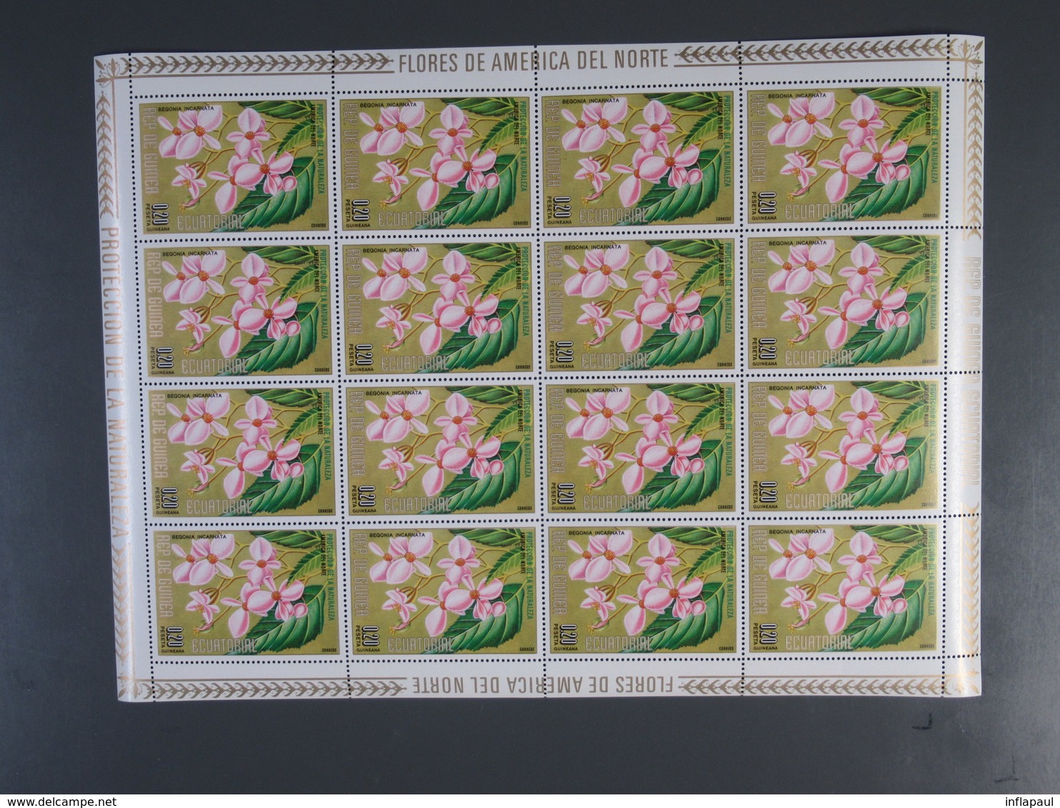 Äquatorialguinea - 28 Sätze in Kleinbögen 215 versch. Klb  ** MNH (2588)