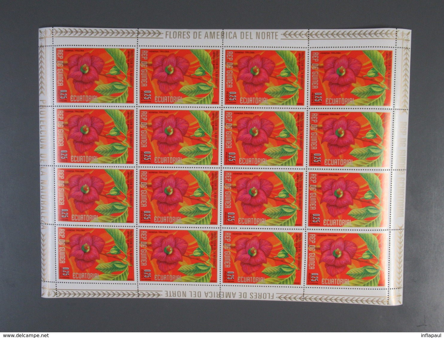 Äquatorialguinea - 28 Sätze in Kleinbögen 215 versch. Klb  ** MNH (2588)