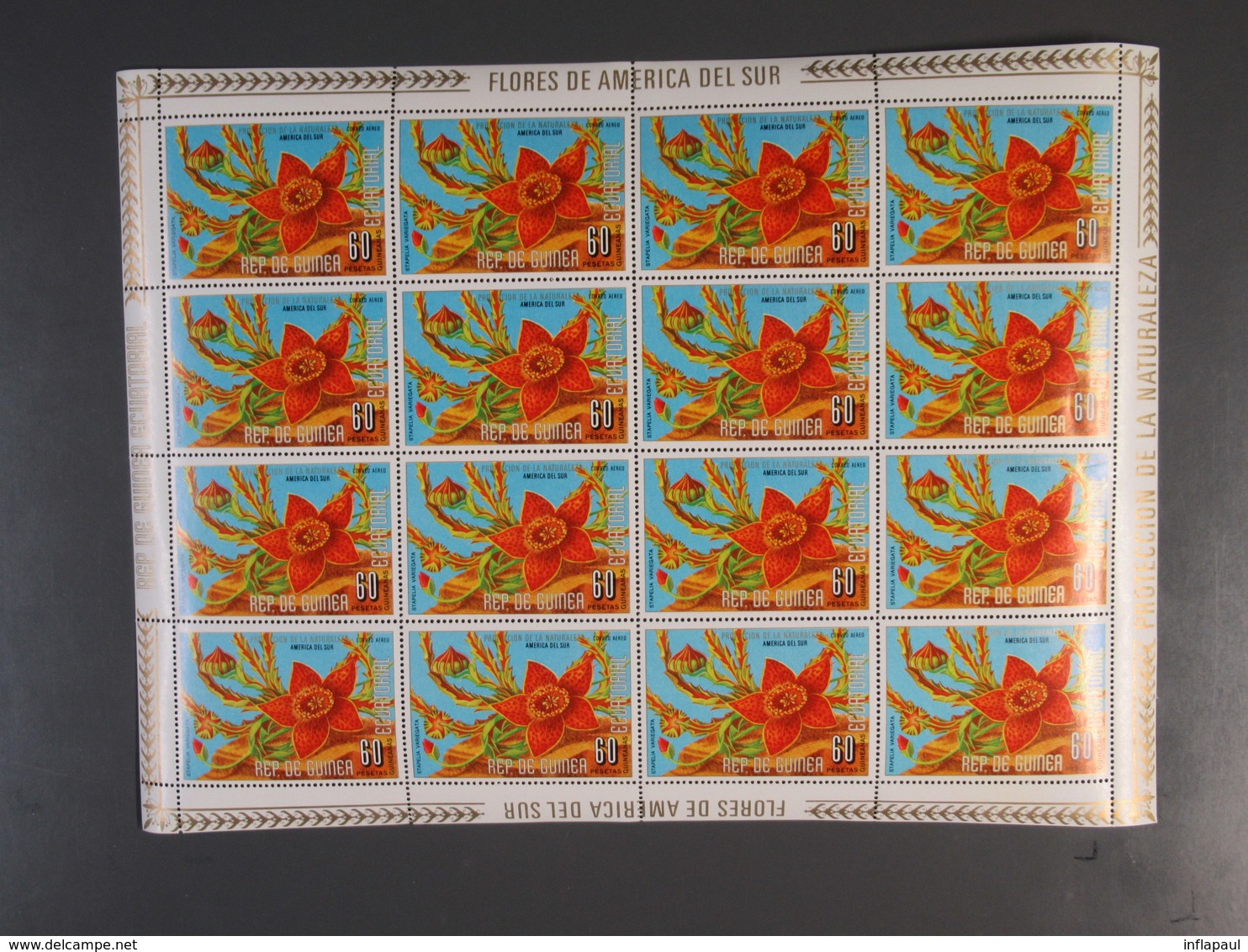 Äquatorialguinea - 28 Sätze in Kleinbögen 215 versch. Klb  ** MNH (2588)