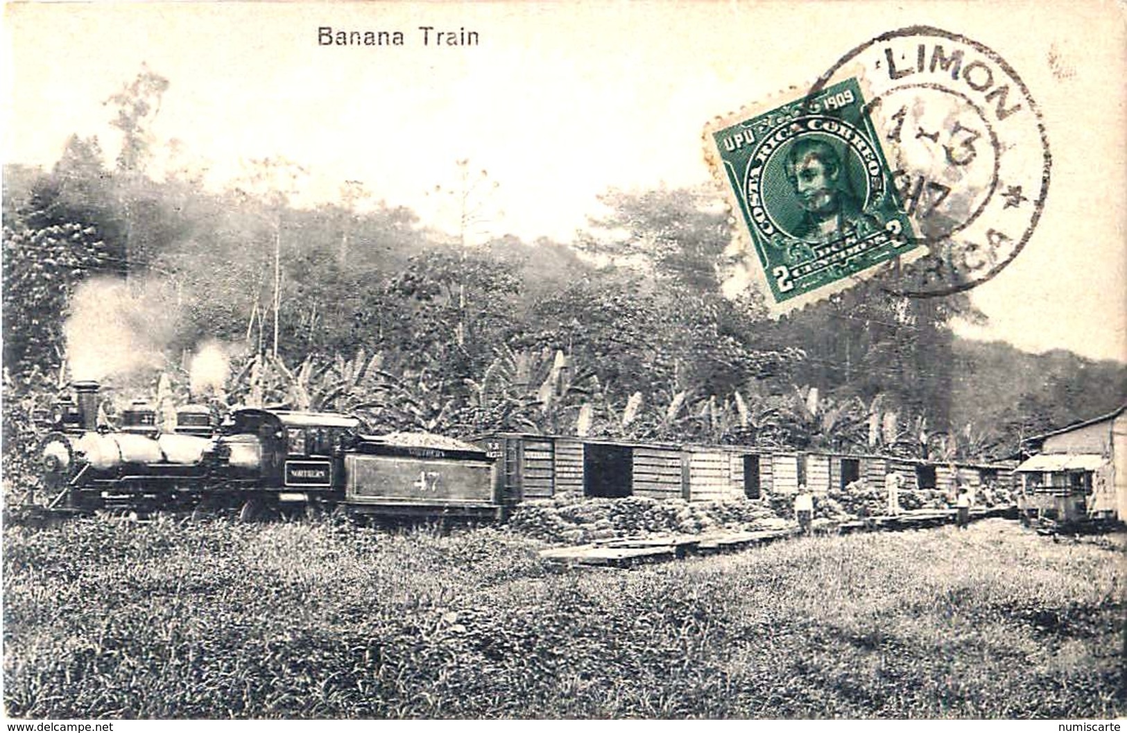 Cpa COSTA RICA - BANANA TRAIN - Northern 47 - Costa Rica