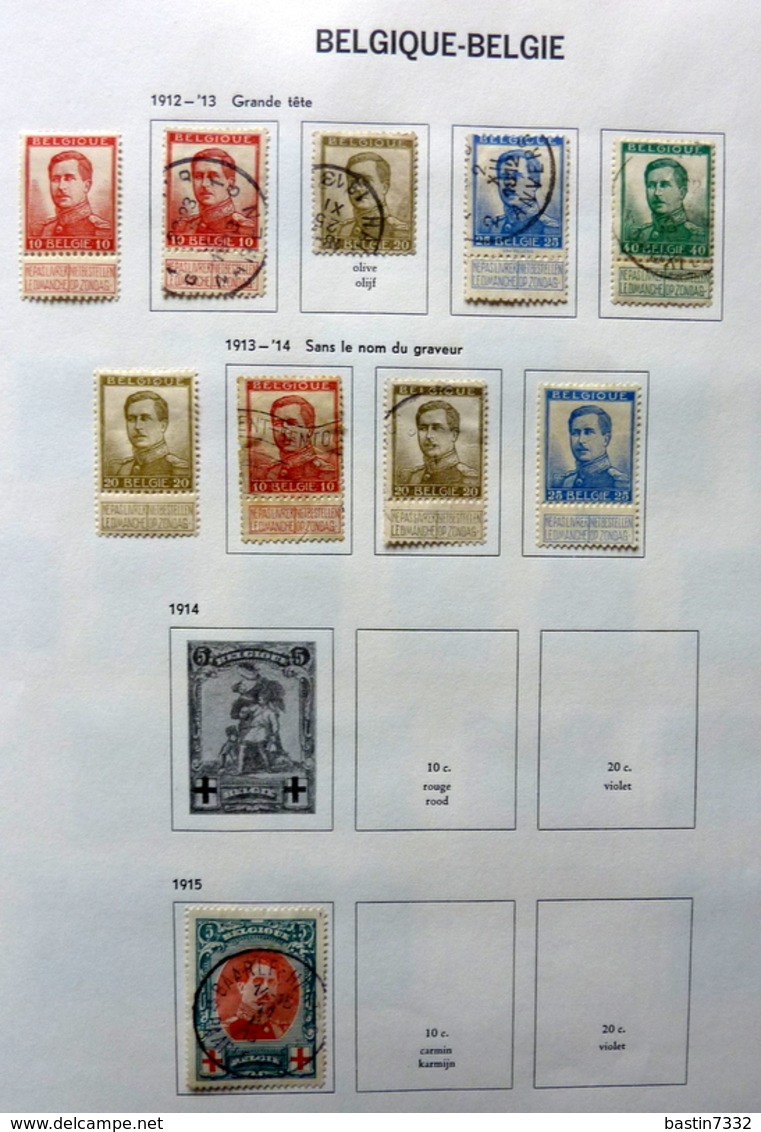 België/Belgium/Belgique collection in Davo binder with better sets (mixed quality)