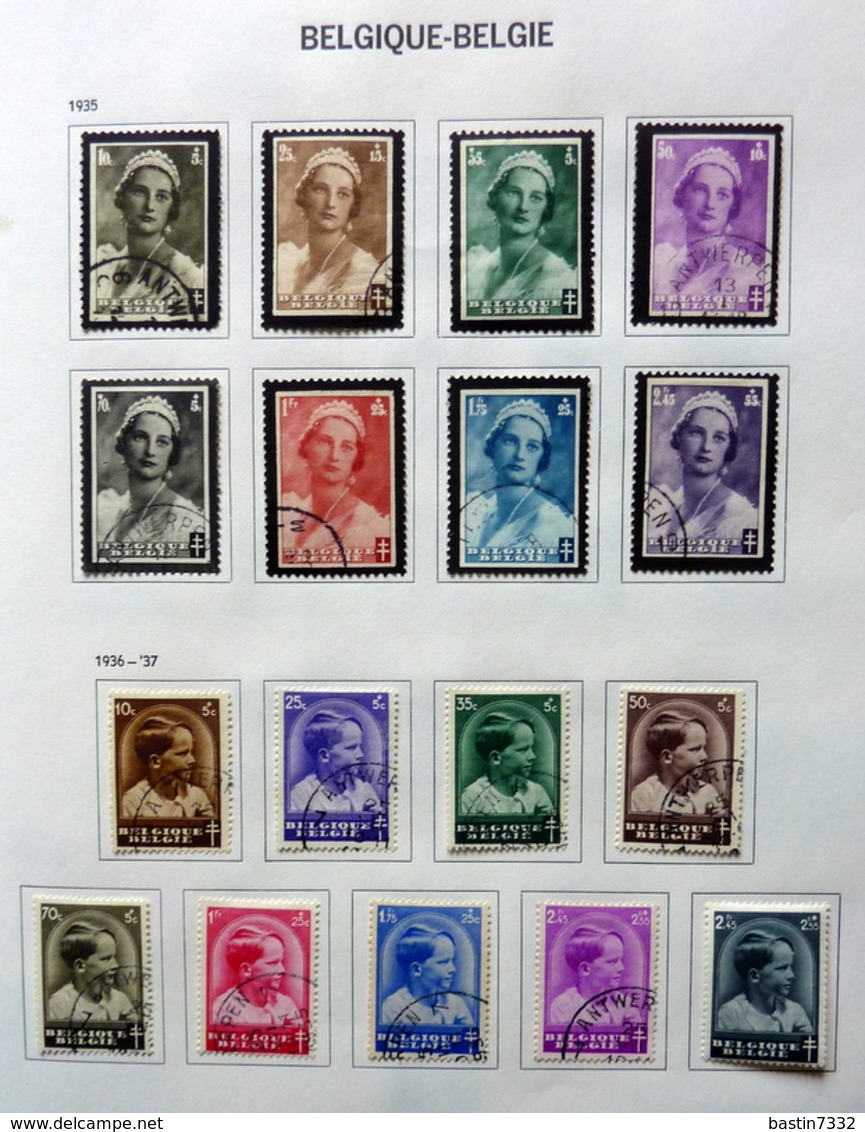 België/Belgium/Belgique collection in Davo binder with better sets (mixed quality)