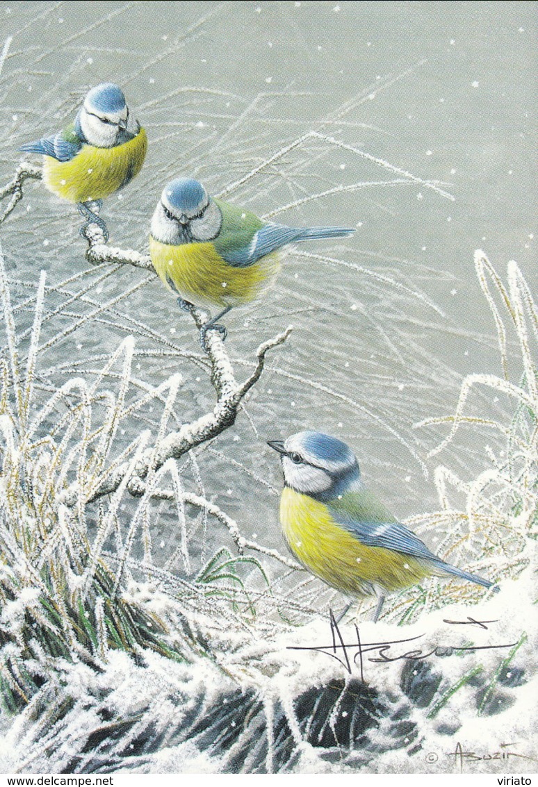 CB059 - Mésange Bleue / Pimpelmees / Eurasian Blue Tit (Cyanistes Caeruleus) - Signée - 1985-.. Oiseaux (Buzin)