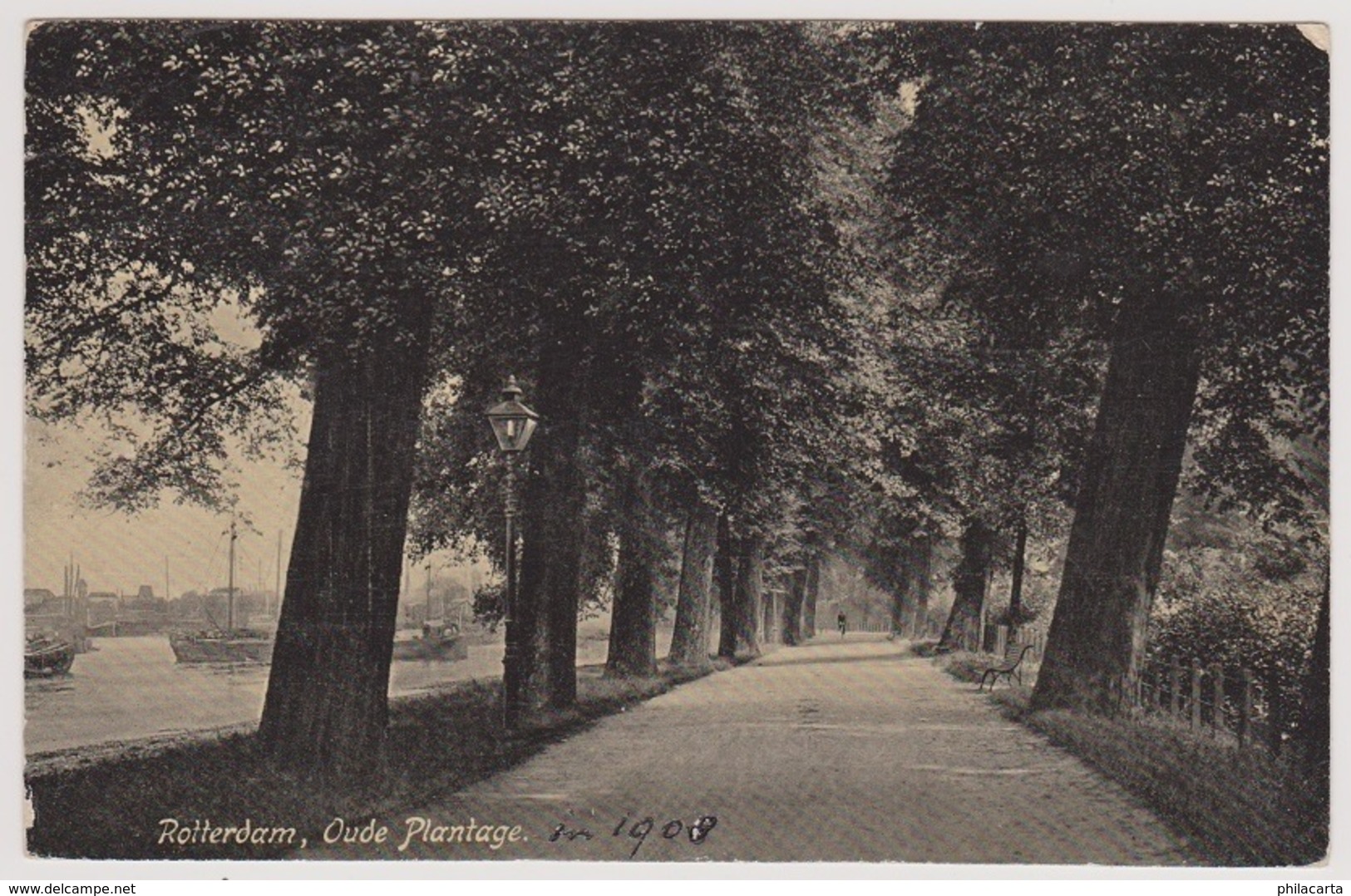 Rotterdam - Oude Plantage - 1908 - Rotterdam