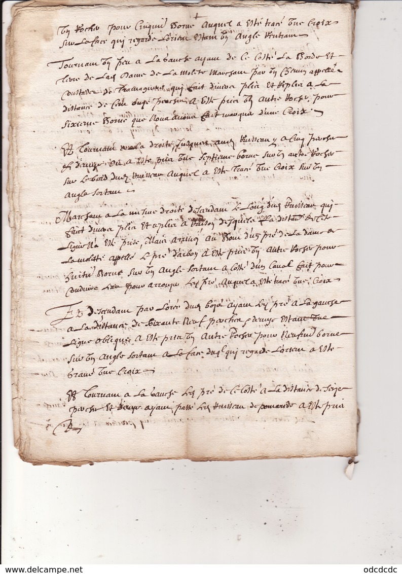 Generalité Montauban Foix  Bigorre Docu du 8 Sept 1683 Maitrise Eaux et Forets Commenge Bornage Foret Cazaunoux 14 scan