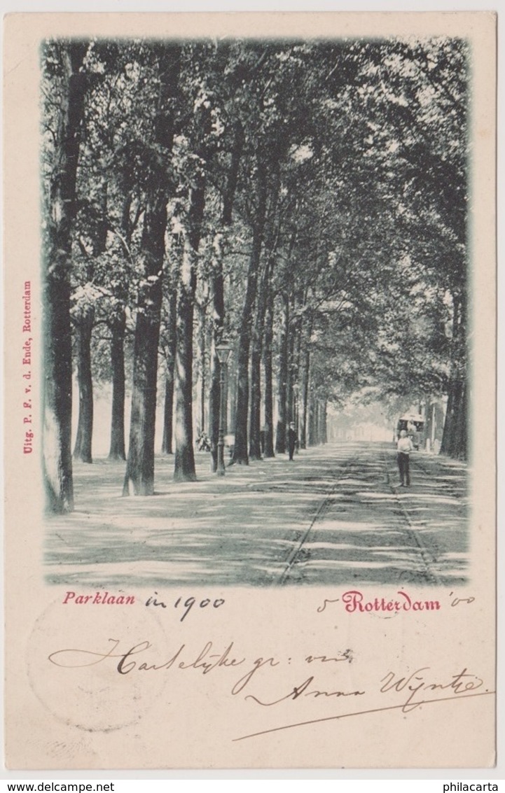 Rotterdam - Parklaan - 1900 - Rotterdam