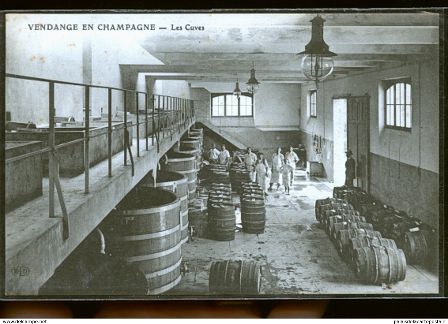 VENDANGE EN CHAMPAGNE LES CUVES                                        JLM - Epernay