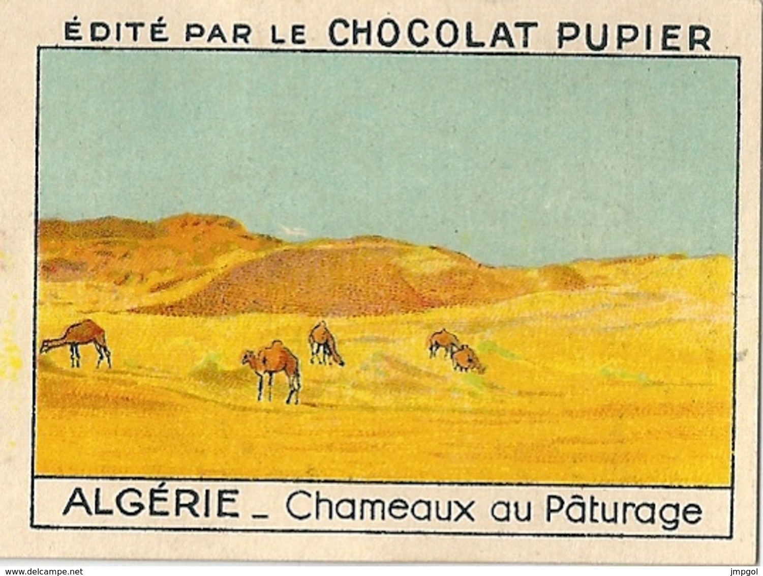 Image Chocolat Pupier Algérie Chameaux Au Pâturage N°26 - Autres & Non Classés