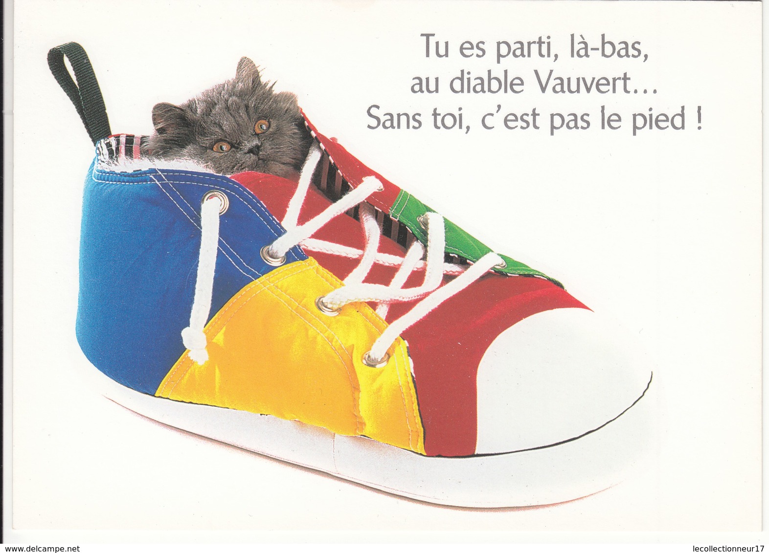 CPM  Thème Animaux Chat Dans Une Chaussure Basquette Cat Réf 2214 - Katten