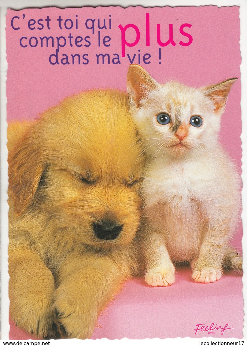 CPM  Thème Animaux Chat Avec Un Chien Cat Réf 2224 - Chats