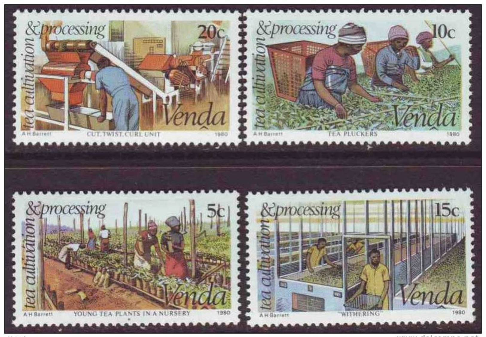 D90819 Venda South Africa 1980 FARMING TEA MNH Set - Afrique Du Sud Afrika RSA Sudafrika - Venda