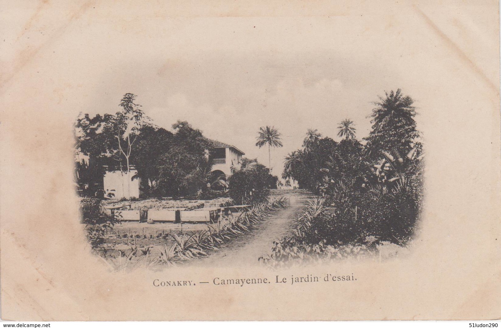CPA Précurseur Conakry - Camayenne - Le Jardin D'essai - Guinée