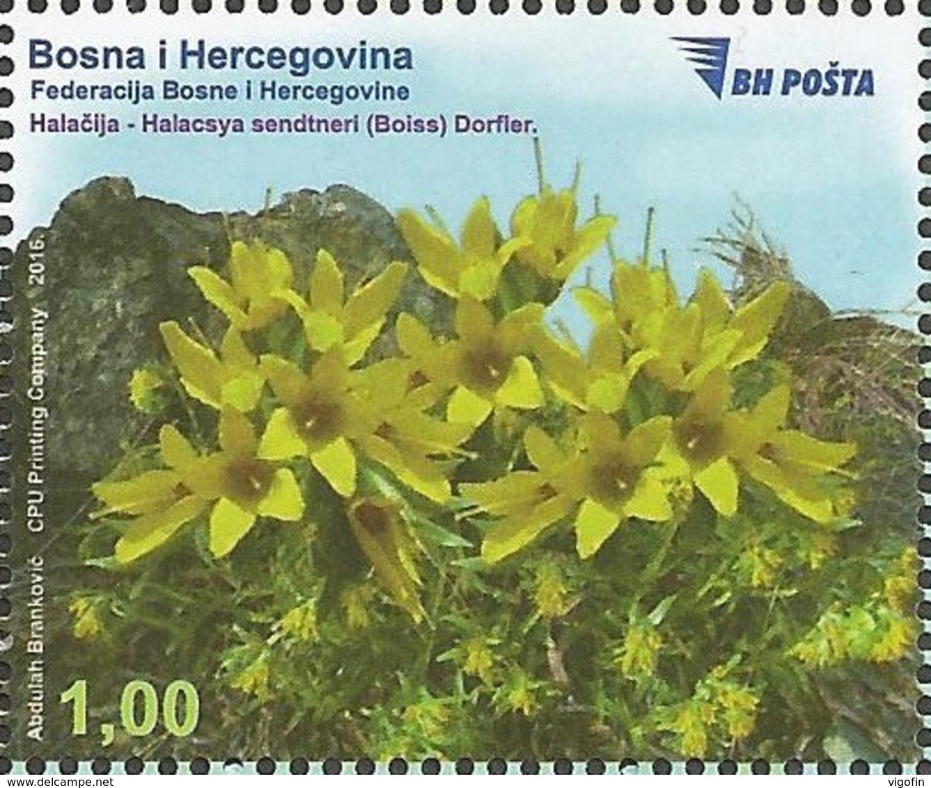 BH 2016-690 FLORA, BOSNA AND HERZEGOVINA, 1 X 1v, MNH - Sonstige & Ohne Zuordnung