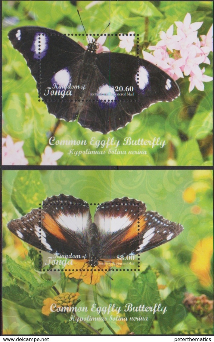 TONGA, 2018, MNH, INSECTS, BUTTERFLIES, 2 SHEETLETS - Vlinders