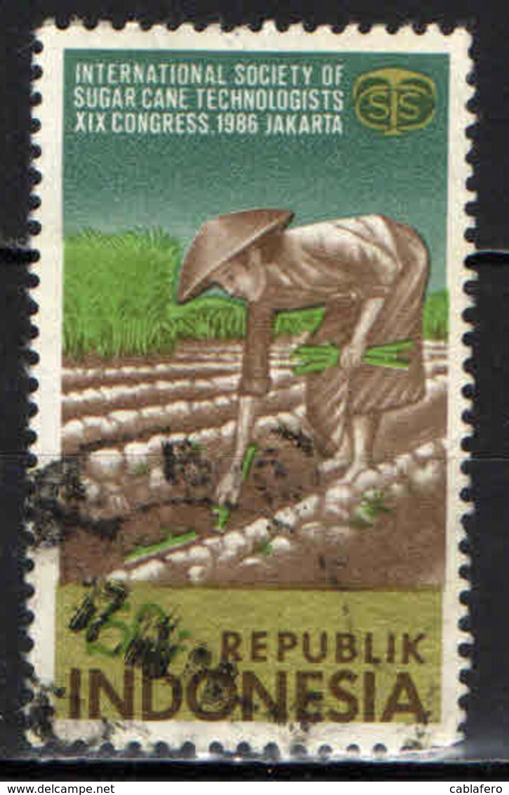 INDONESIA - 1986 - CONGRESSO SULLE TECNOLOGIE PER LA COLTIVAZIONE DELLA CANNA DA ZAUCCHERO - USATO - Indonesia