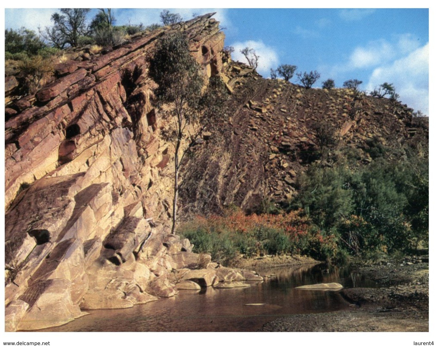 (888) Australia - SA - Flinders Range - Flinders Ranges