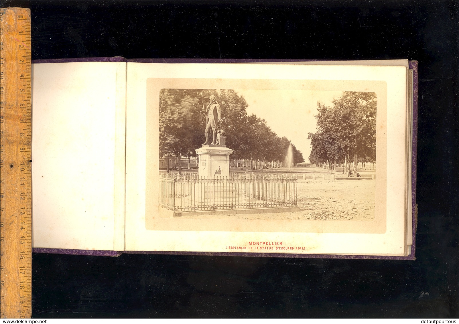 X12 Photographie Originale    Album Souvenir De MONTPELLIER Vers 1870 Peyrou Adam Chateau D'eau Louis XIV Chevaux Marins - Lieux