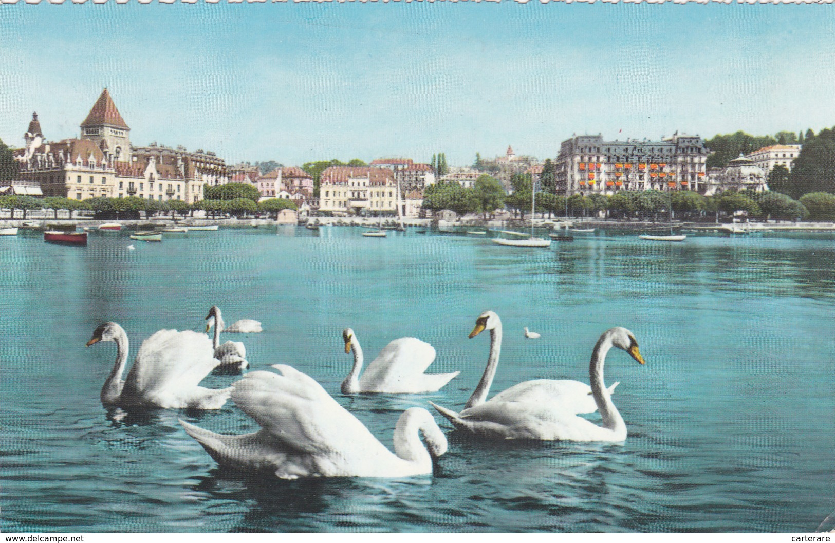 CARTE PHOTO, SUISSE,HELVETIA,SWISS,SCHWEIZ,SVIZZERA,SWITZERLAND,VAUD,LAUSANNE,OUCHY - Lausanne