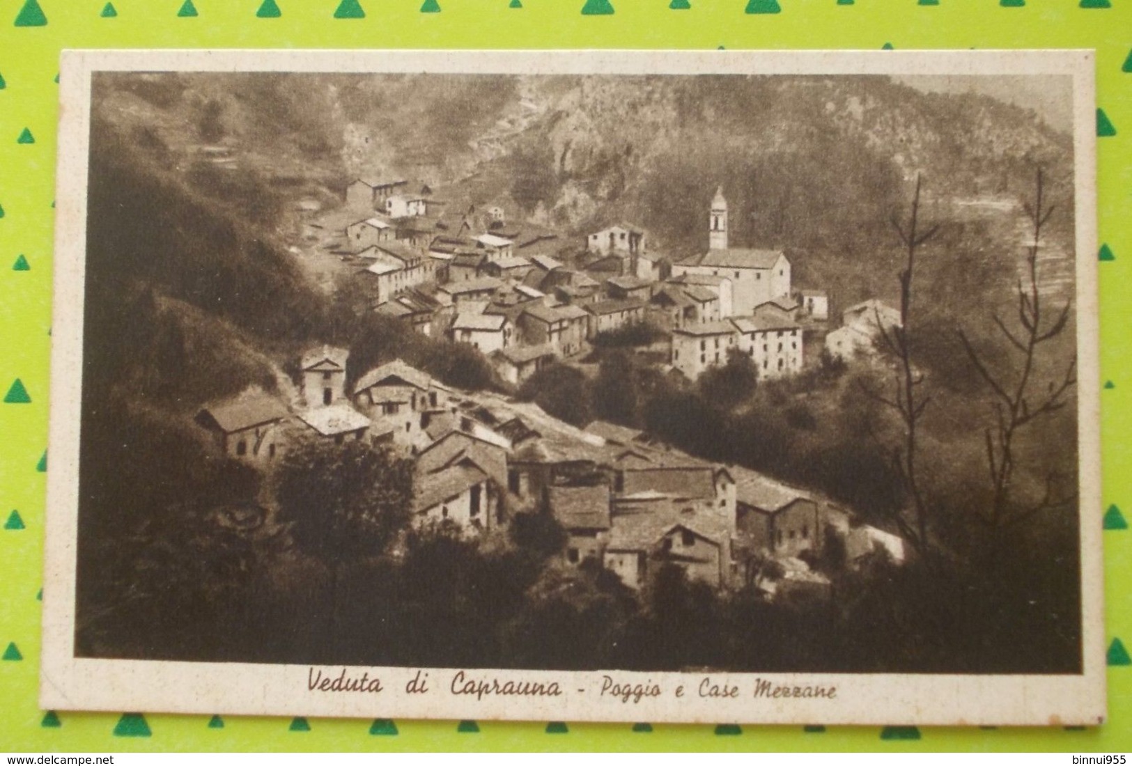 Cartolina Veduta Di Caprauna Poggio E Case Mezzone - - Cuneo