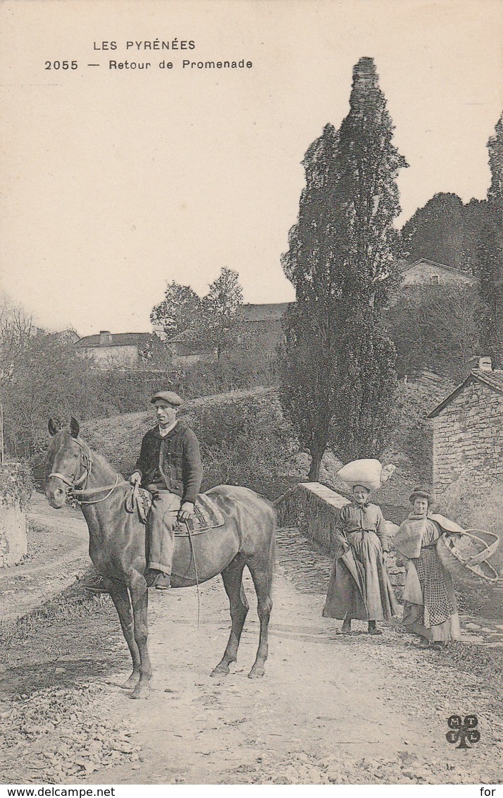 Hautes-pyrénées : Retour De Promenade : Belle Animation  ( Cheval ) - Autres & Non Classés