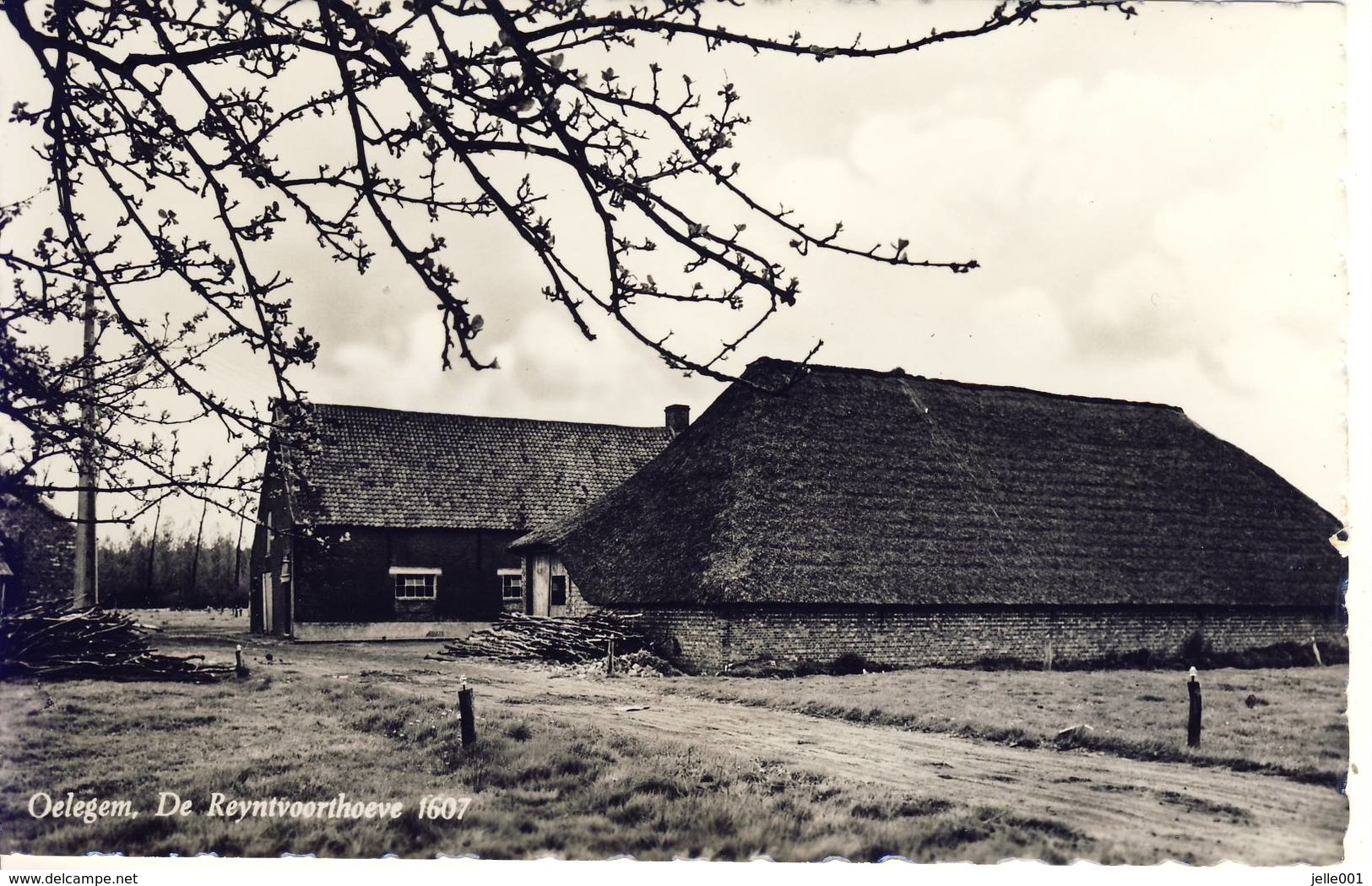 Oelegem Ranst De Reyntvoorthoeve - Ranst