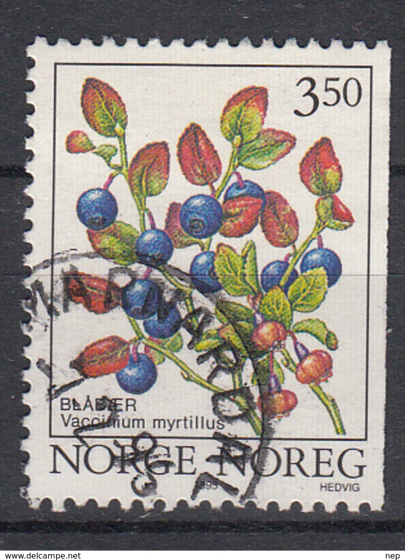 NOORWEGEN - Michel - 1995 - Nr 1175 - Gest/Obl/Us - Oblitérés