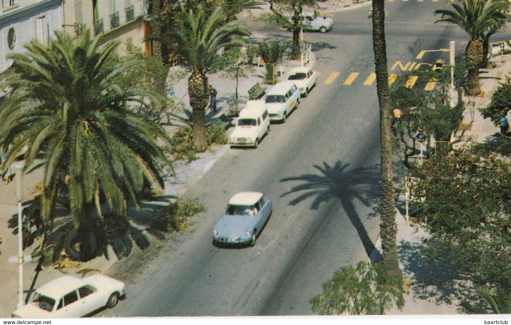 Hyeres Les Palmiers: CITROËN DS, RENAULT 4-COMBI, PEUGEOT 404 BREAK, 204 - Avenue Gambetta - Toerisme