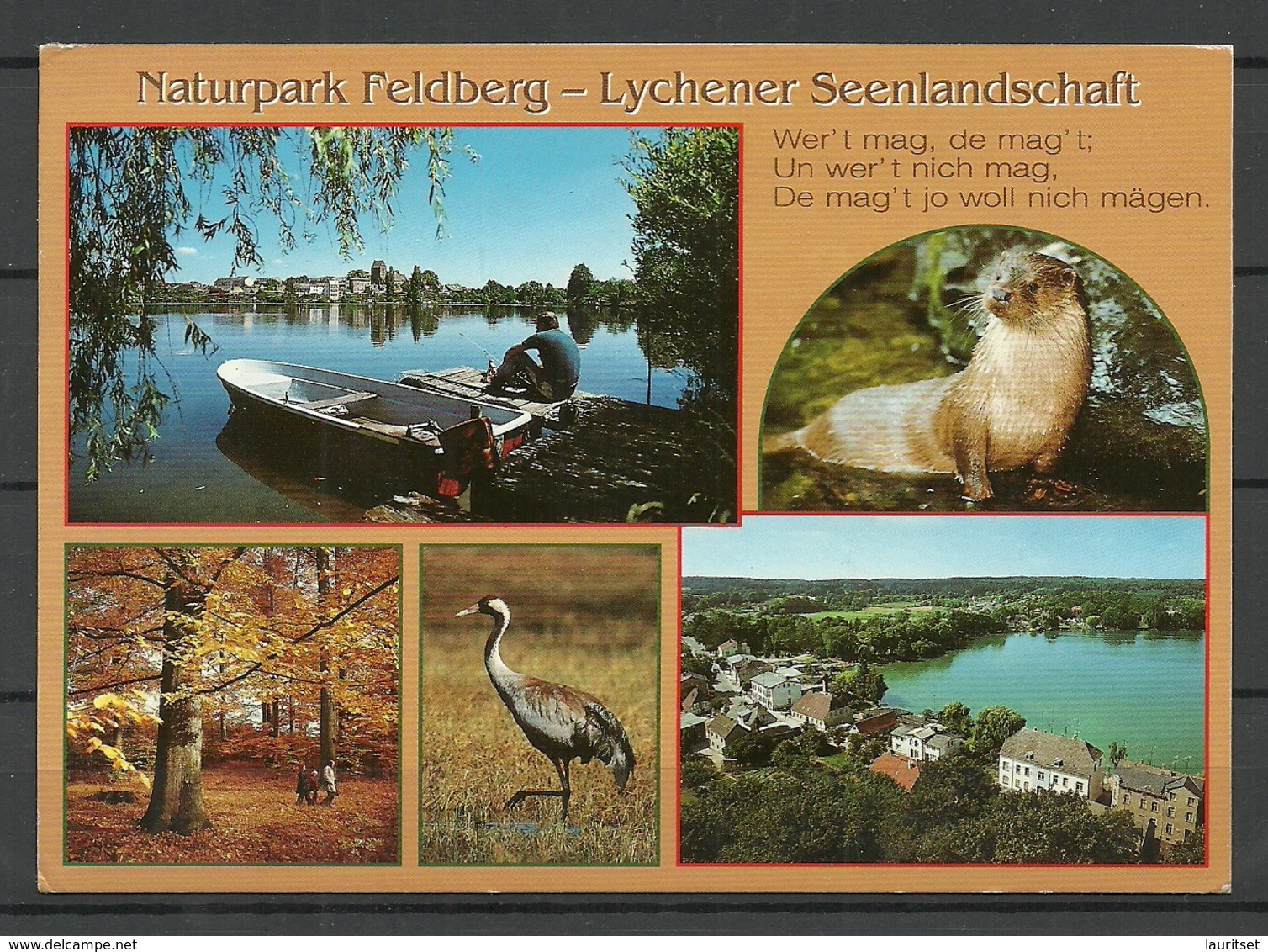 Deutschland Naturpark FELDBERG - Lychener Seenlandschaft Sent 1999 With Stamp - Feldberg